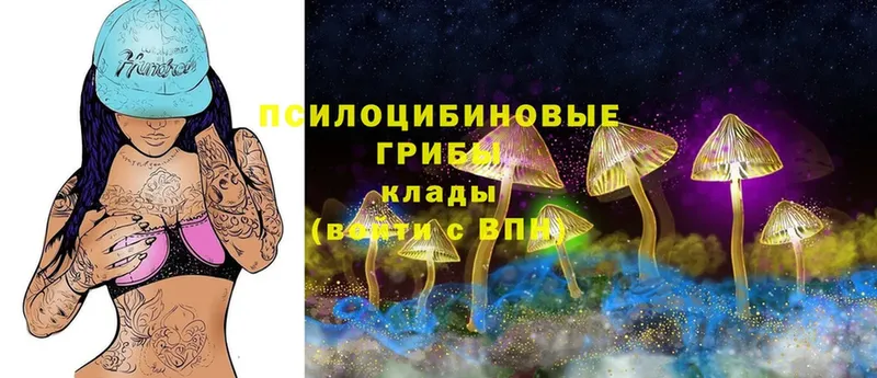 Галлюциногенные грибы MAGIC MUSHROOMS  площадка телеграм  Кировград 